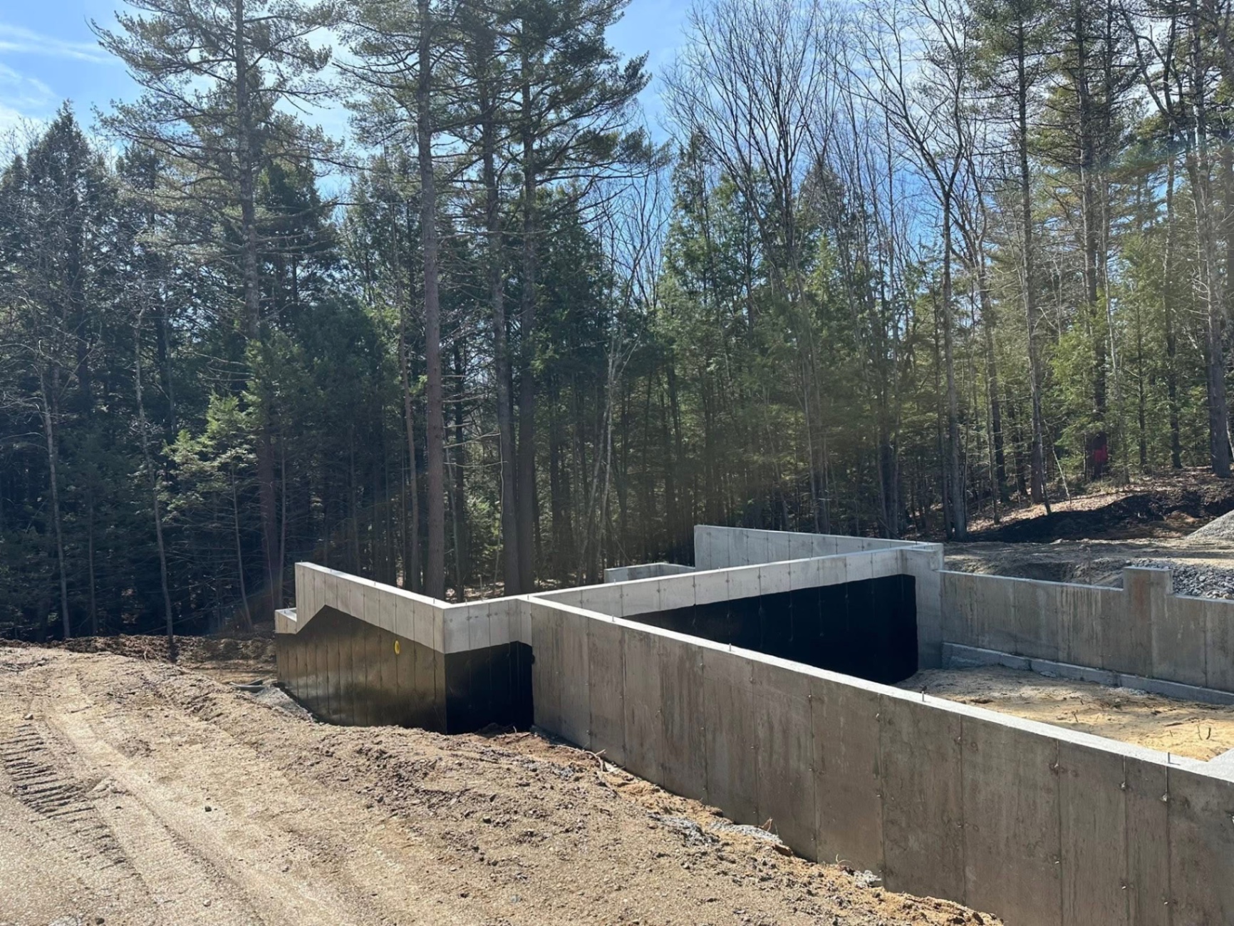 New foundation walls freshly sealed on a wooded Maine building lot